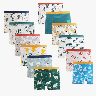 Boxer Briefs Underwear, 12 Pack