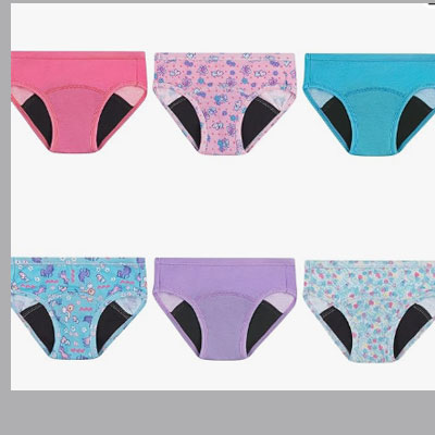 Hanes Girls' Hanes Toddler Girls' Potty Trainer Briefs, 6-Pack