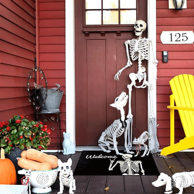 Skull Doormat Funny Halloween Skull Welcome Door Mat,Living Room Kitchen Floor Mat Home Halloween Indoor Outdoor Decoration 17 x29 Inch