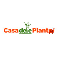 Spathiphyllum Only For €22