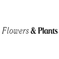 Flowers & Plants