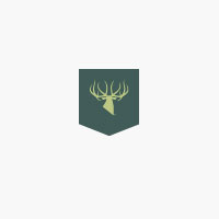 Kings Camo