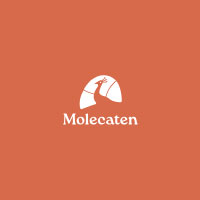 Chalet Korenbloem Only For €530