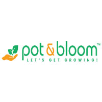 Pot & Bloom