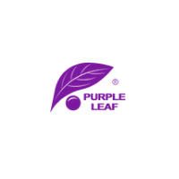 38% Off On PURPLE LEAF Modern 