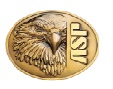 ASP Armament Systems and Procedures