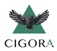 Cigora