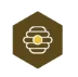 Hive Family