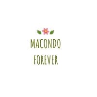 Macondo Forever