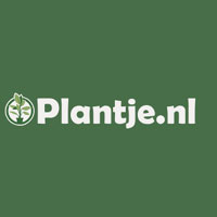 Plantje NL