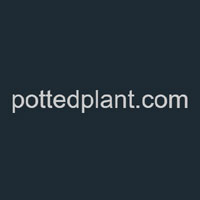 Potted Plant
