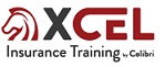 XCEL Solutions